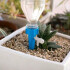 Regador Automatico Goteo Tapa Macetas Botella Plantas Azul