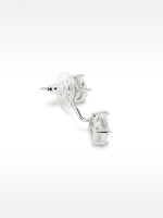 Pendientes Ear Jacket Con Circonitas plateado