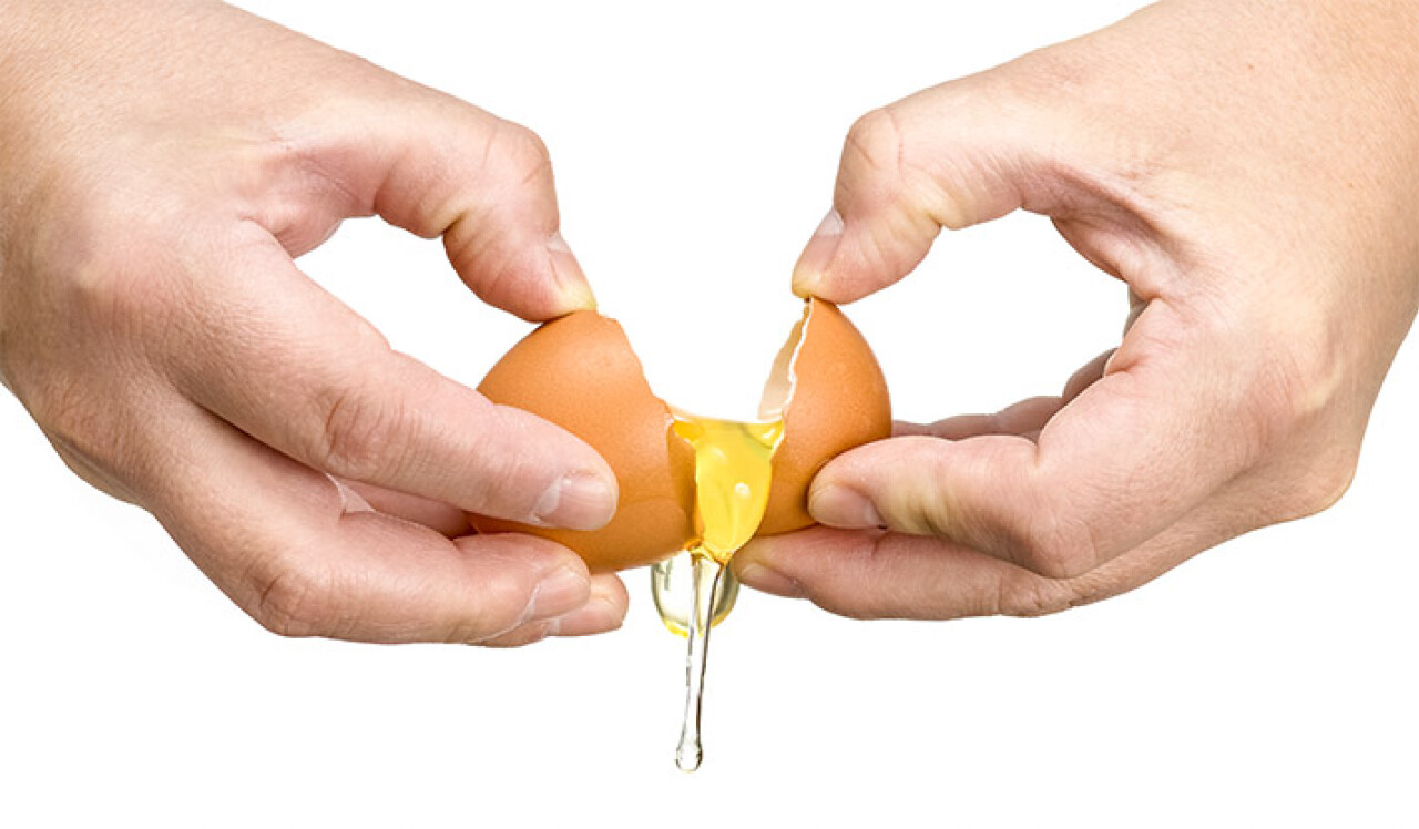 dont-throw-away-that-egg-yolk-graphics-1