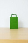 Bolsa lisa acuario 14x08x20 cm VERDE