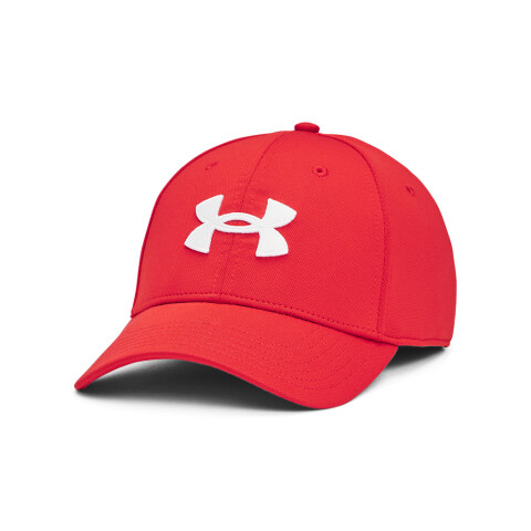 Men's UA Blitzing-BLU BRN-273