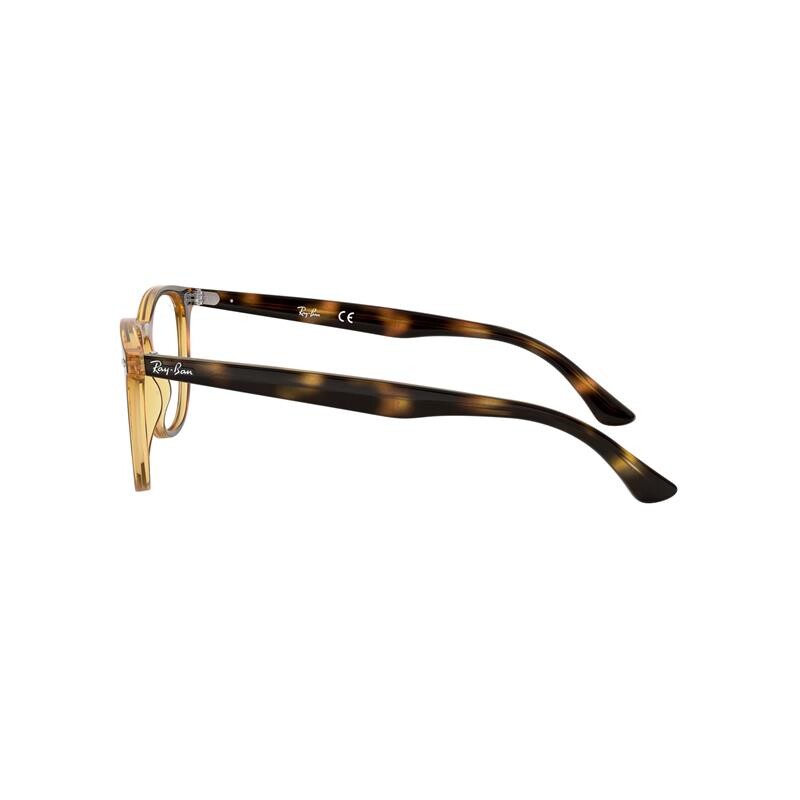 Ray Ban Rx7159 2012