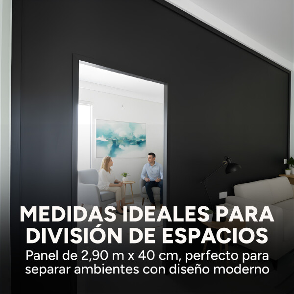 Panel Divisor Separador Ambientes 2,4 x 2,90m + 2 Rieles 3m Negro 1