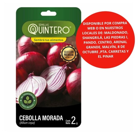 Semillas Cebolla morada x 2g
