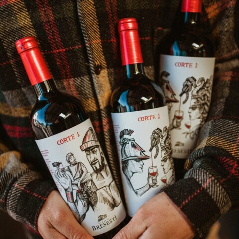 Pack vinos blend Bresesti corte 1 x 12 Botellas 750cc Pack vinos blend Bresesti corte 1 x 12 Botellas 750cc