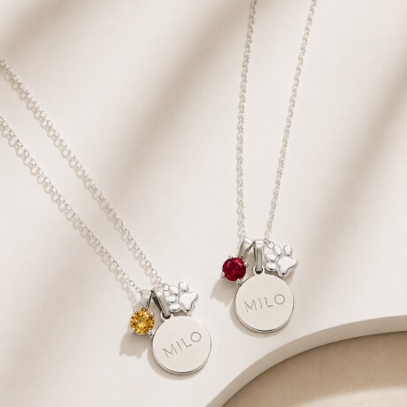 Collar Pet Memories - Plata 925 Collar Pet Memories - Plata 925