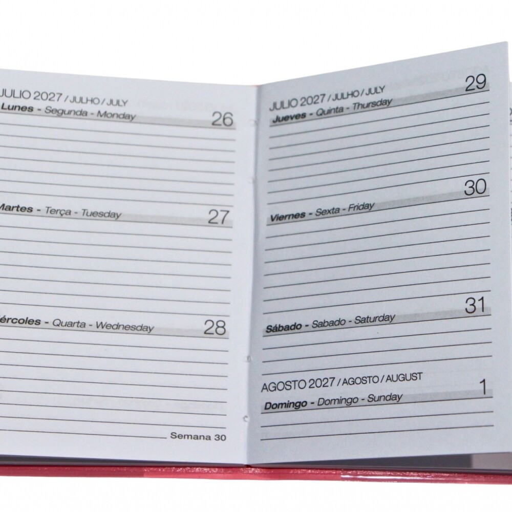 AGENDA ABEZETA PICCOLA 205 AGENDA DE BOLSILLO COLOR ROSADO