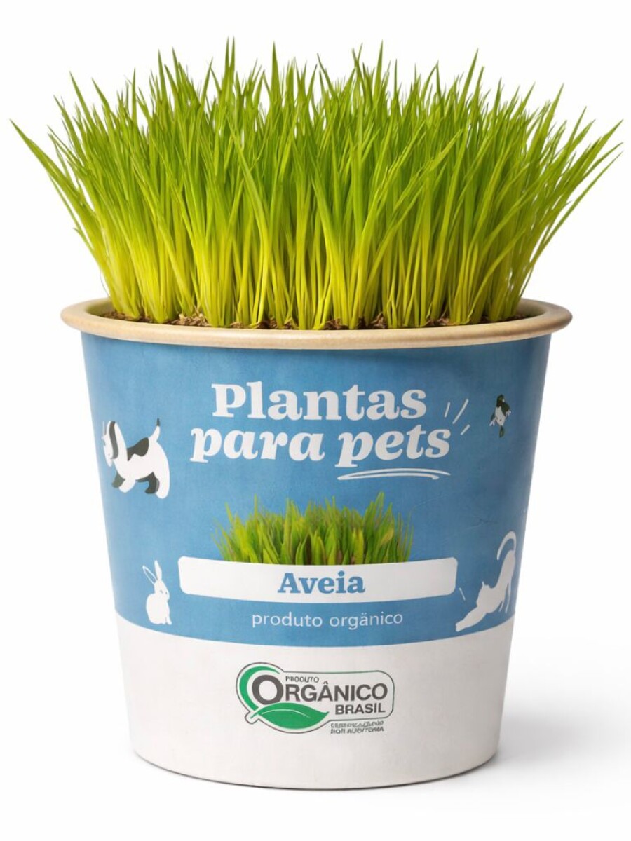ALIMENTO PARA MASCOTAS ALIMENTO PARA MASCOTAS