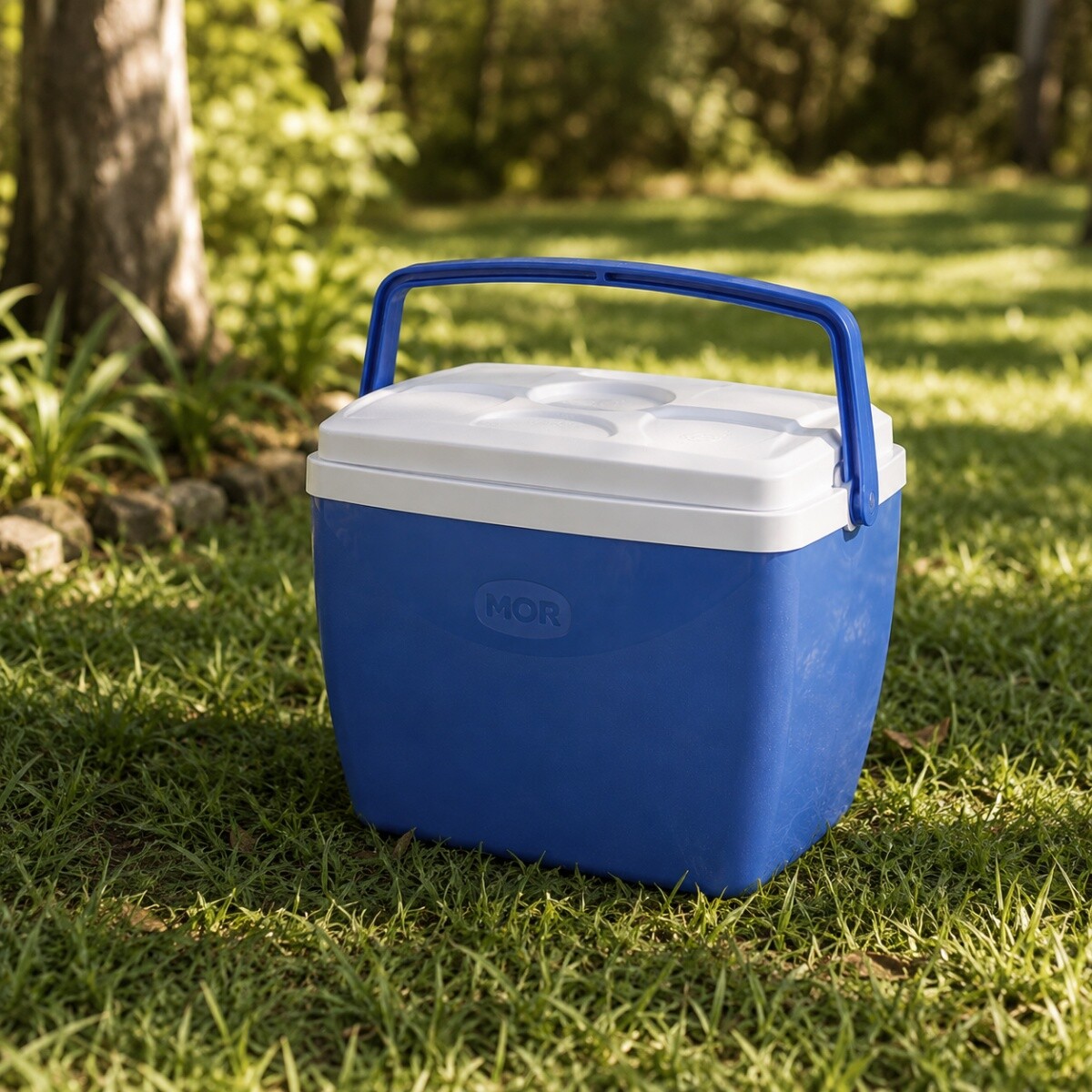 Conservadora térmica 18 lts - AZUL 