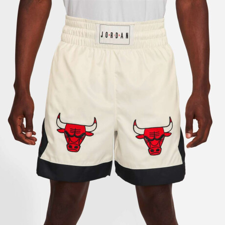 Short Jordan Flight De Hombre Multicolor