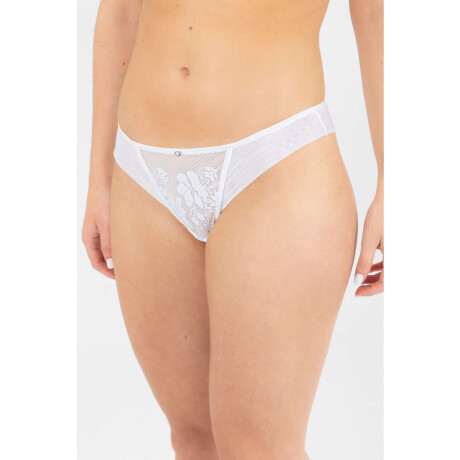 Colaless dracena Blanco