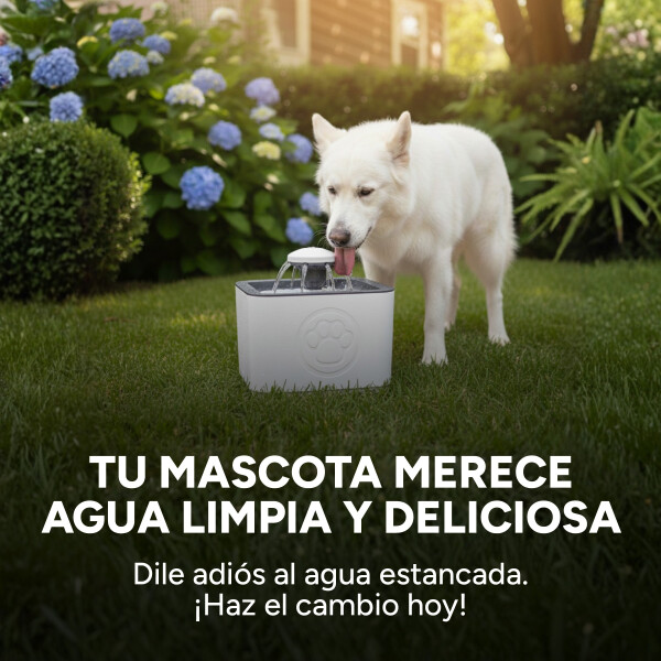 Fuente Agua Gatos Perros Bebedero + 2 Filtros Repuesto Fuente Agua Gatos Perros Bebedero + 2 Filtros Repuesto