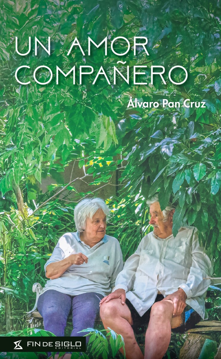 UN AMOR COMPAÑERO 