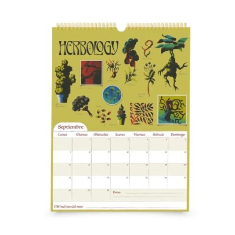 Calendario Mooving Harry Potter 2026 Calendario Mooving Harry Potter 2026