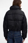 Campera Sugar Negro