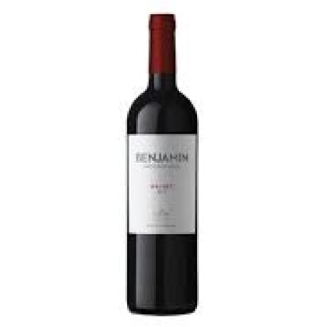 Vino Benjamin Nieto Senetiner Malbec 750 Ml 001