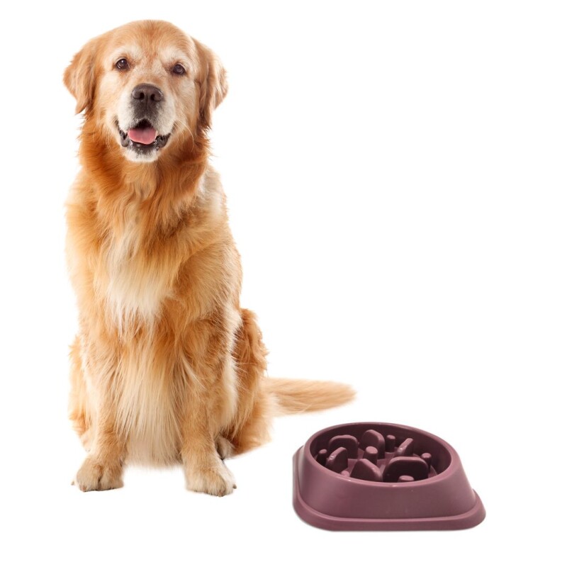 Comedero para perro -Anti ansiedad N/a