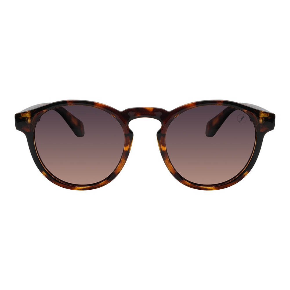 Lentes de sol De Tr90 Redondo Flap Gradiente Marón/Marrón