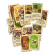 Catan El Juego de Cartas Catan El Juego de Cartas