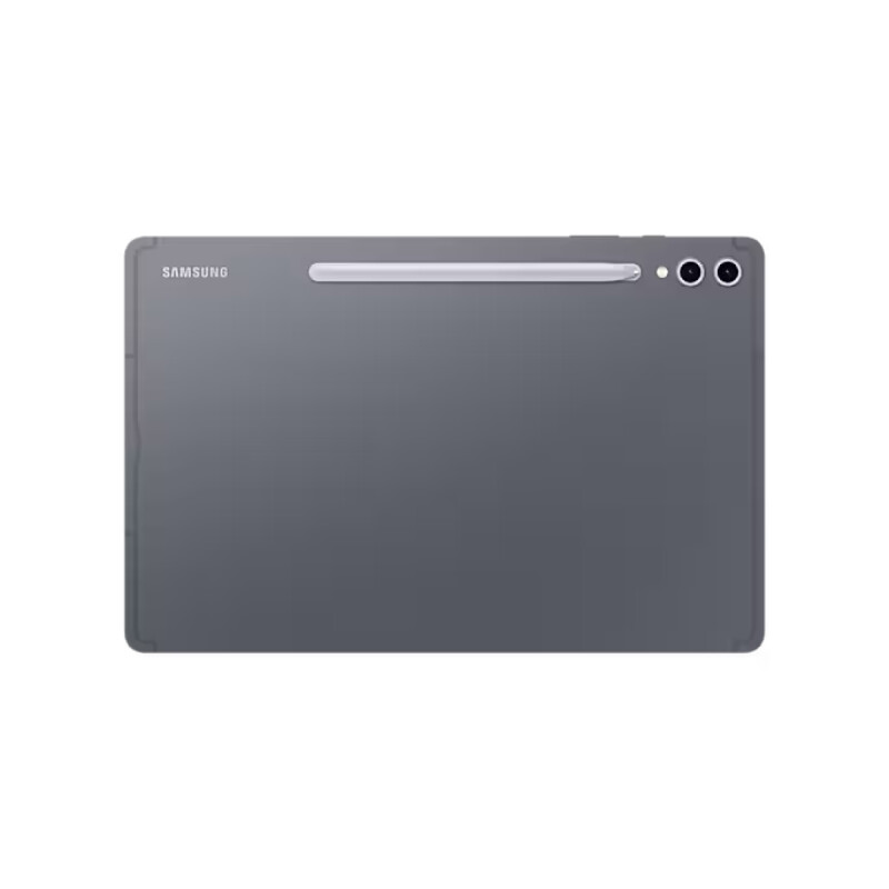 Samsung Galaxy Tab S10 Ultra 256 GB Grey