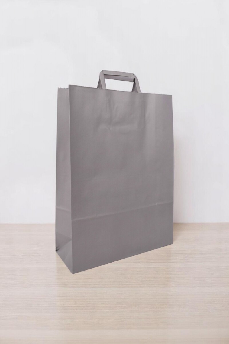 Bolsa lisa acuario 30x12x41 cm - GRIS SOMBRA 