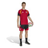 REMERA ADIDAS DFB TR JSY Hombre KB4439 Rojo