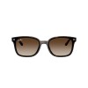 Ray Ban Rb4461d 710/13