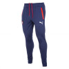 Buzo Puma Cerro Porteño Pant8 V-Puzo-15901 Buzo Puma Cerro Porteño Pant8 V-Puzo-15901