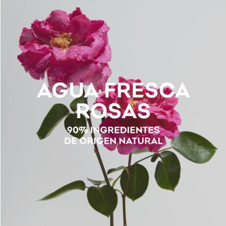 Perfume Adolfo Dominguez Rosas Agua Fresca EDT 120ml Perfume Adolfo Dominguez Rosas Agua Fresca EDT 120ml