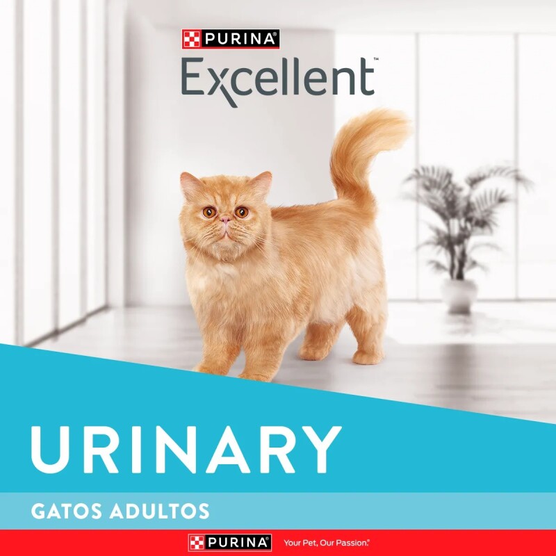 EXCELLENT GATOS ADULTOS URINARY 1 KG EXCELLENT GATOS ADULTOS URINARY 1 KG