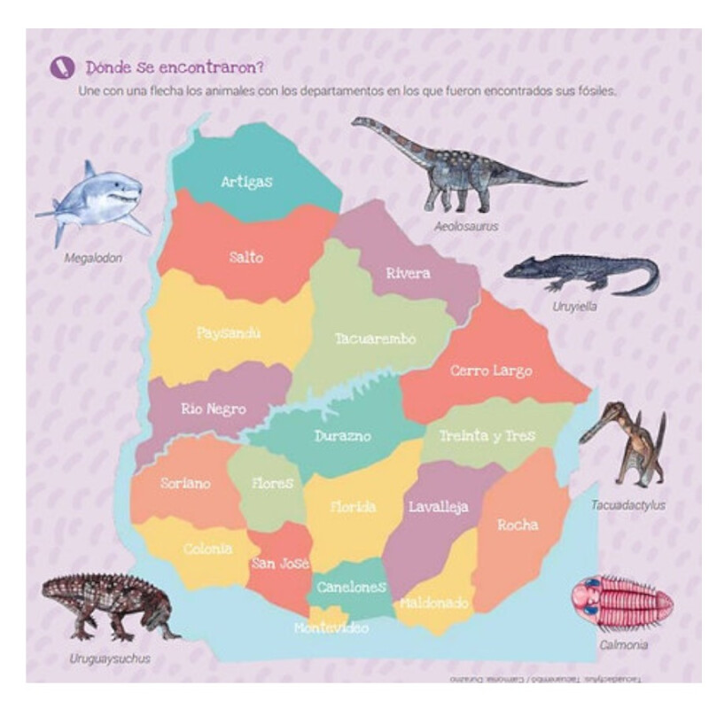 Libro De Actividades Dinosaurios Libro De Actividades Dinosaurios