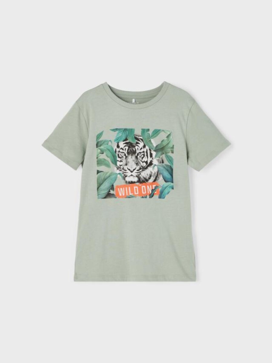 Camiseta Estampada Manga Corta - Iceberg Green 