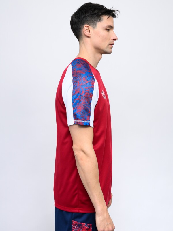 REMERA PRO TRAINING ACTIVE Nacional Hombre Beige, ordeaux