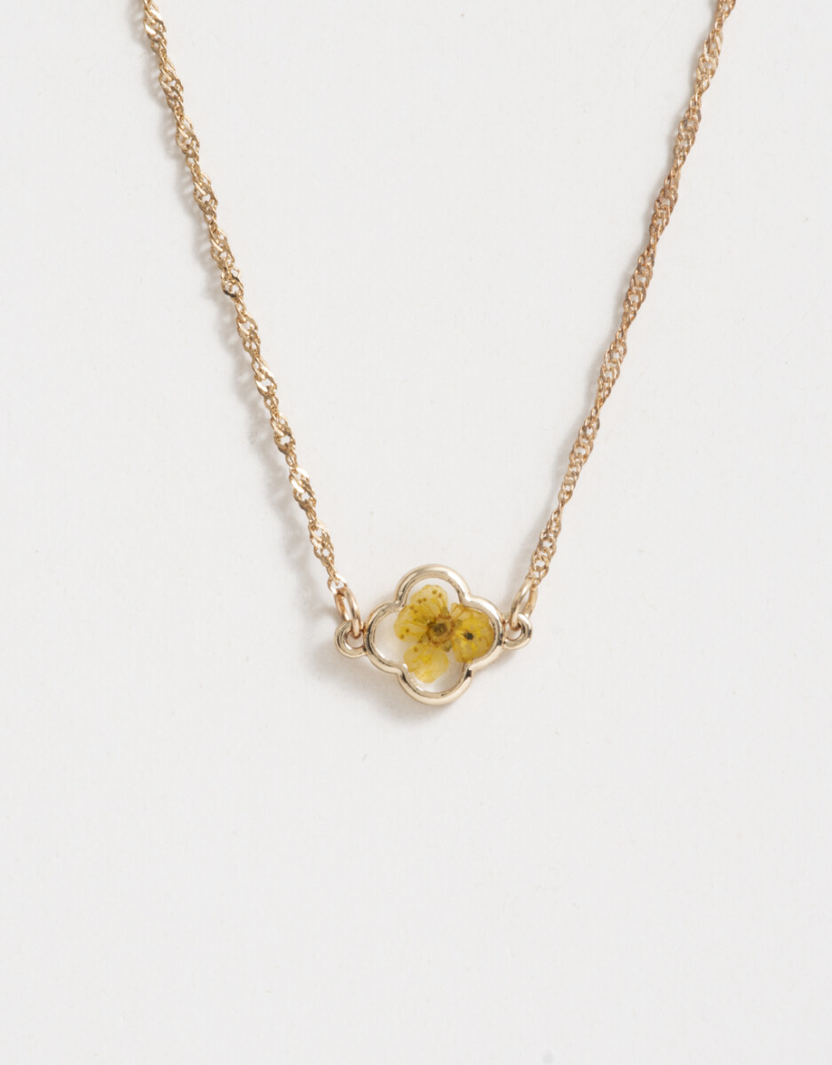 Cortos Con Birthflowers 