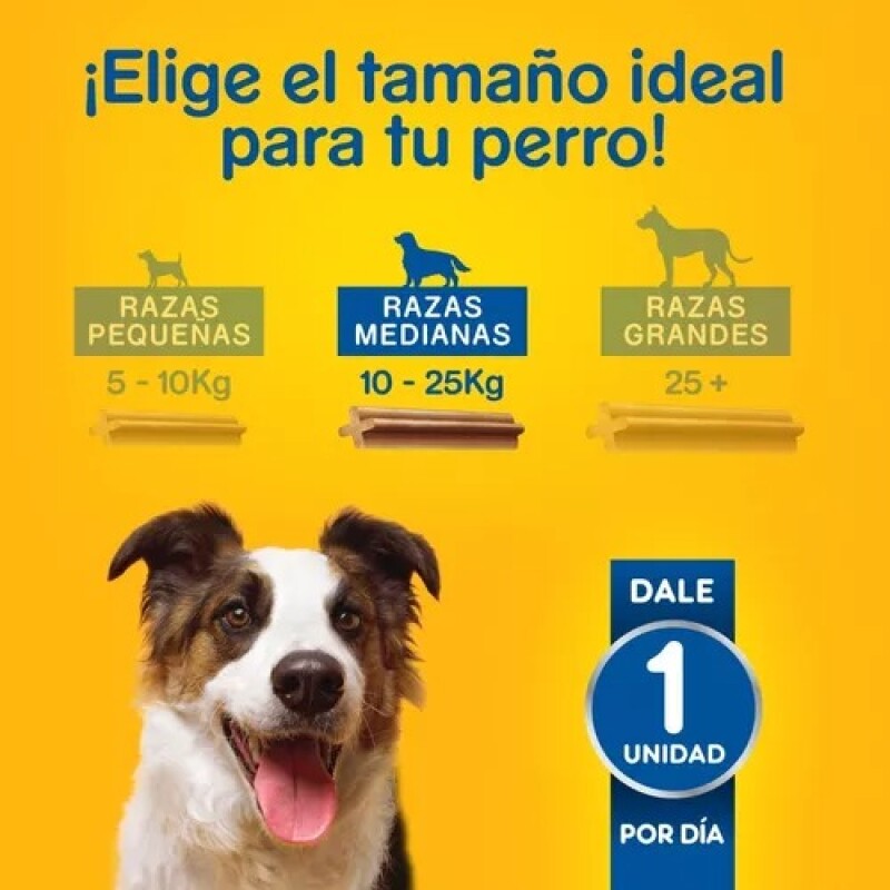 DENTASTIX RAZAS MEDIANAS X 7 UNIDADES