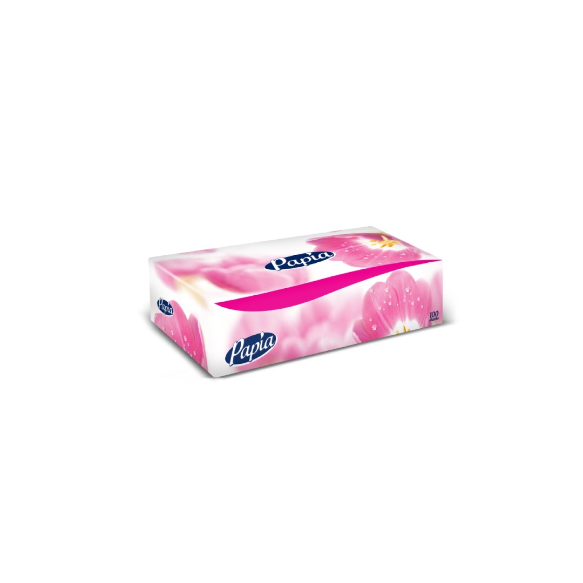 Pañuelos desechables - caja 100 unidades - Tienda online