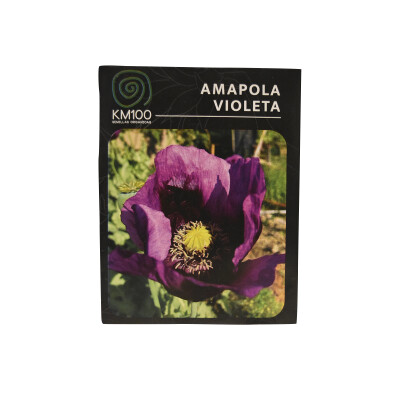 Semillas autocultivo de amapola violeta KM100 Semillas Amapola Violeta