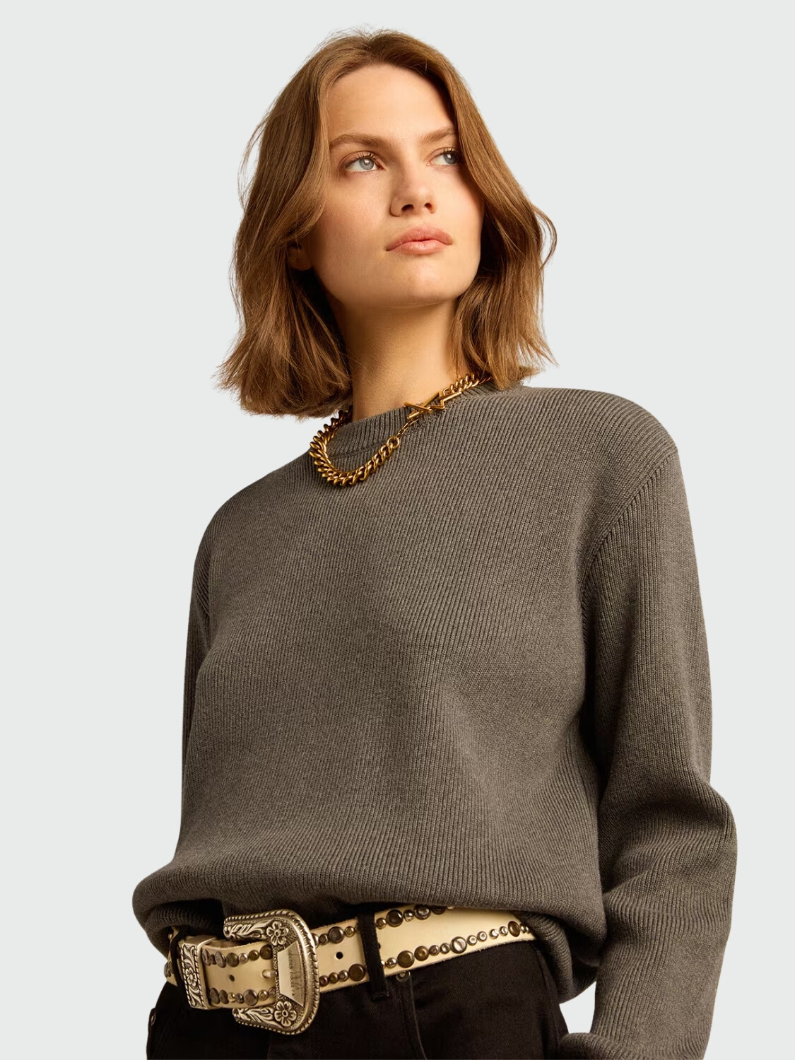 GOLDEN GOOSE - Buzo de Cuello Redondo con Logotipo en la Espalda Alta Automática