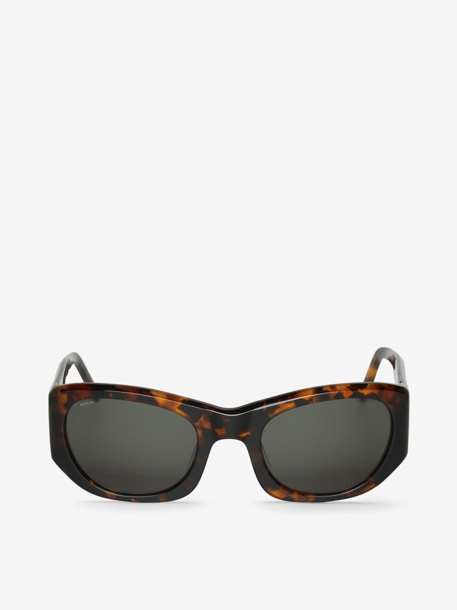 Coron Cheetah Tortoise 