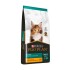 PRO PLAN KITTEN GATITOS 1 KG