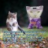 ARENA AGLOMERANTE STRONG PACK 16 KILOS LAVANDA