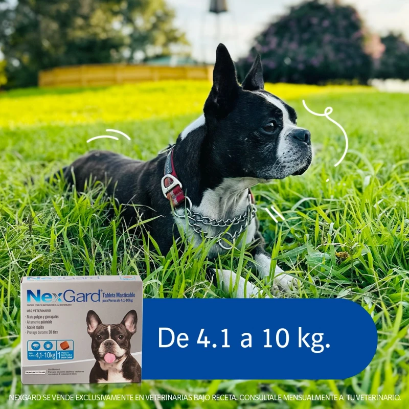 NEXGARD PASTILLA ANTIPULGAS Y GARRAPATAS X 1 COMP DE 4 A 10 KG