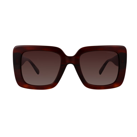 Azzaro 32089 col 3 Polarized Azzaro 32089 Col 3 Polarized