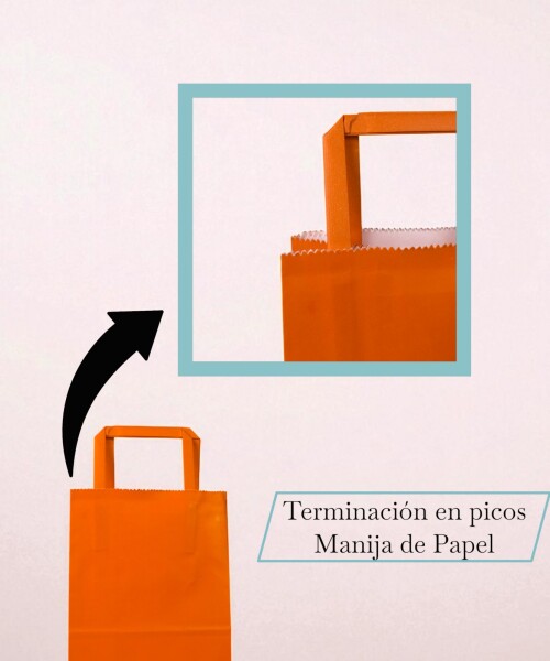 Bolsa lisa acuario 14x08x20 cm NARANJA