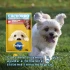 PEDIGREE EN SALSA CACHORRO 85 GRAMOS PEDIGREE EN SALSA CACHORRO 85 GRAMOS
