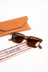 Lentes De Sol Polarizados Marron