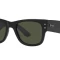 Ray-Ban 0840S Black