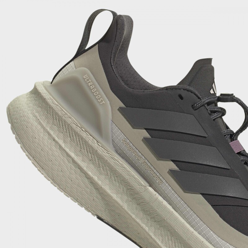 Championes Adidas Ultraboost 5 Gris