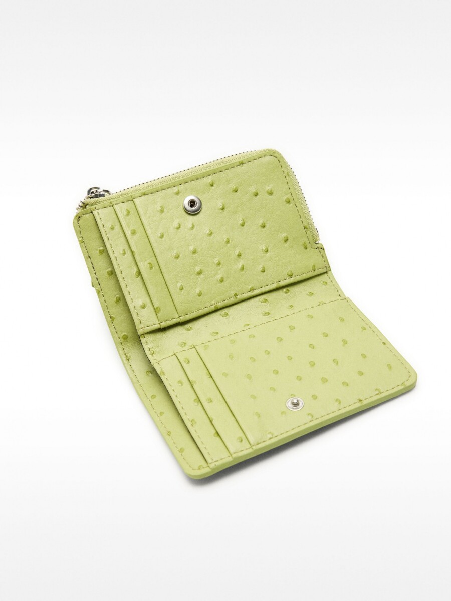 Cartera Con Grabado Animal verde