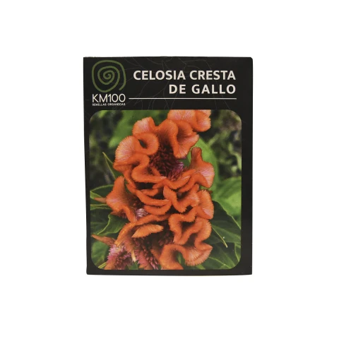 Semillas autocultivo celosia cresta de gallo KM100 Semillas Celosia Cresta De Gal